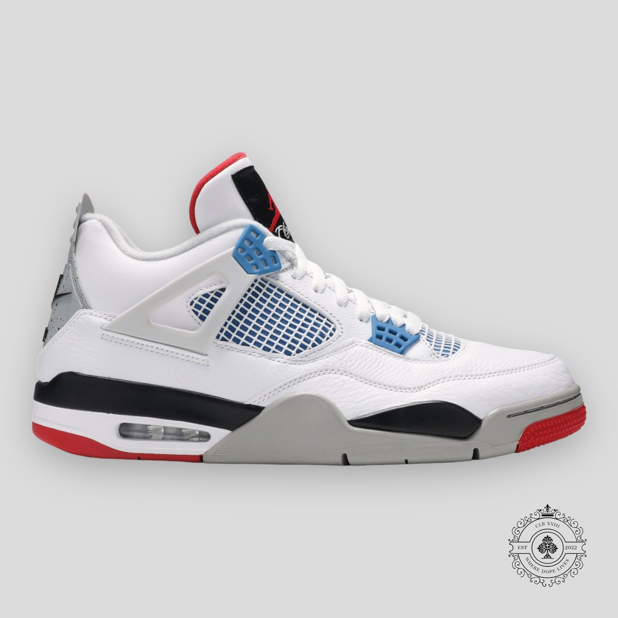 Air Jordan 4 Retro What The