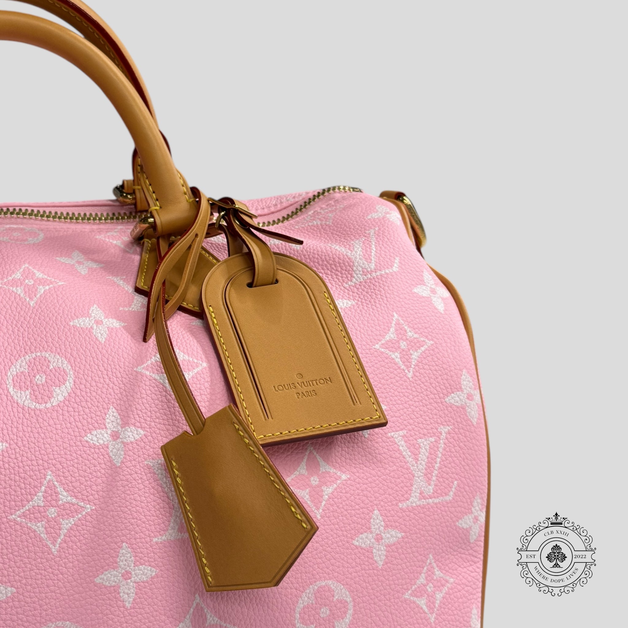 Louis Vuitton Speedy P9 Bandoulière 40 in Candy