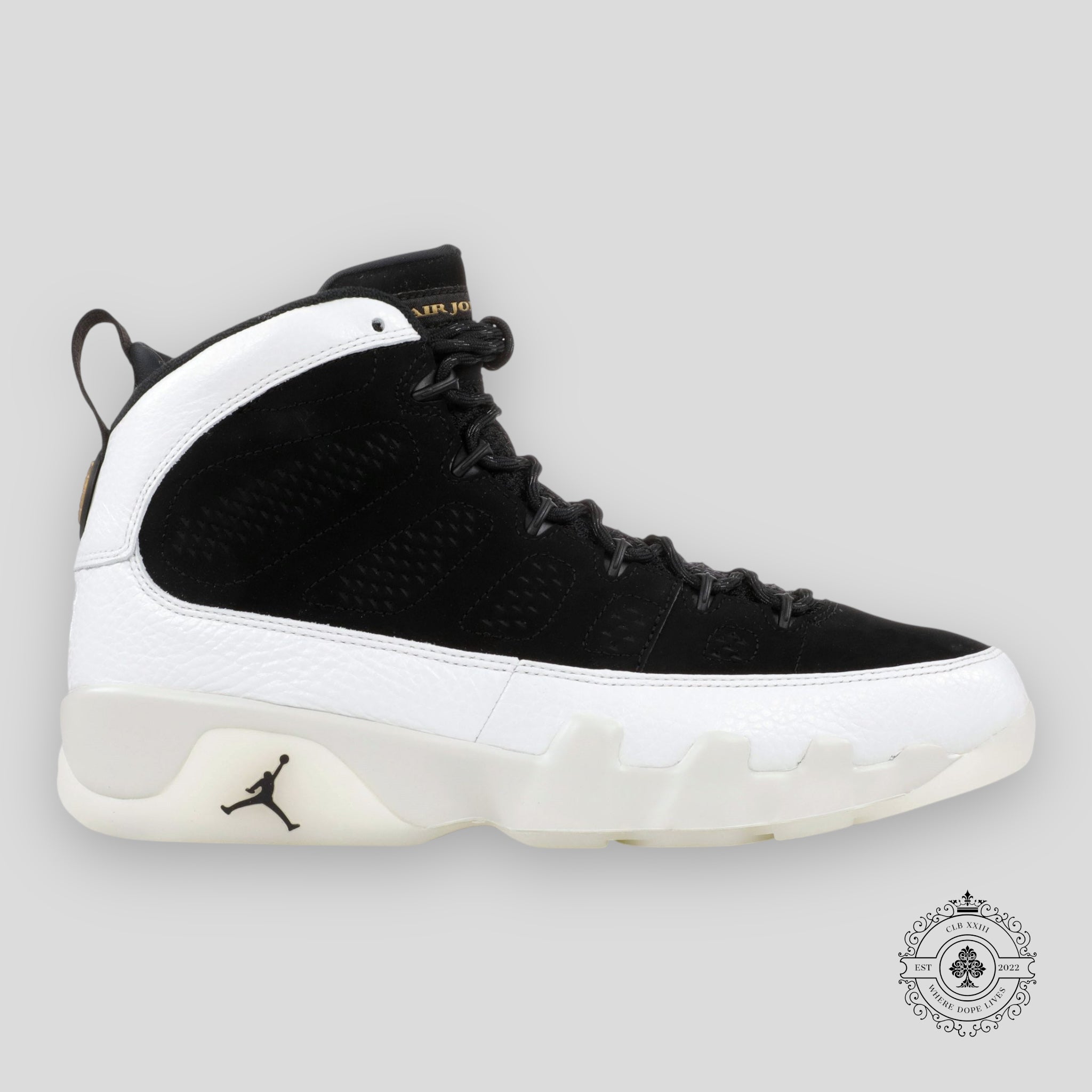 Air Jordan 9 Retro City of Flight