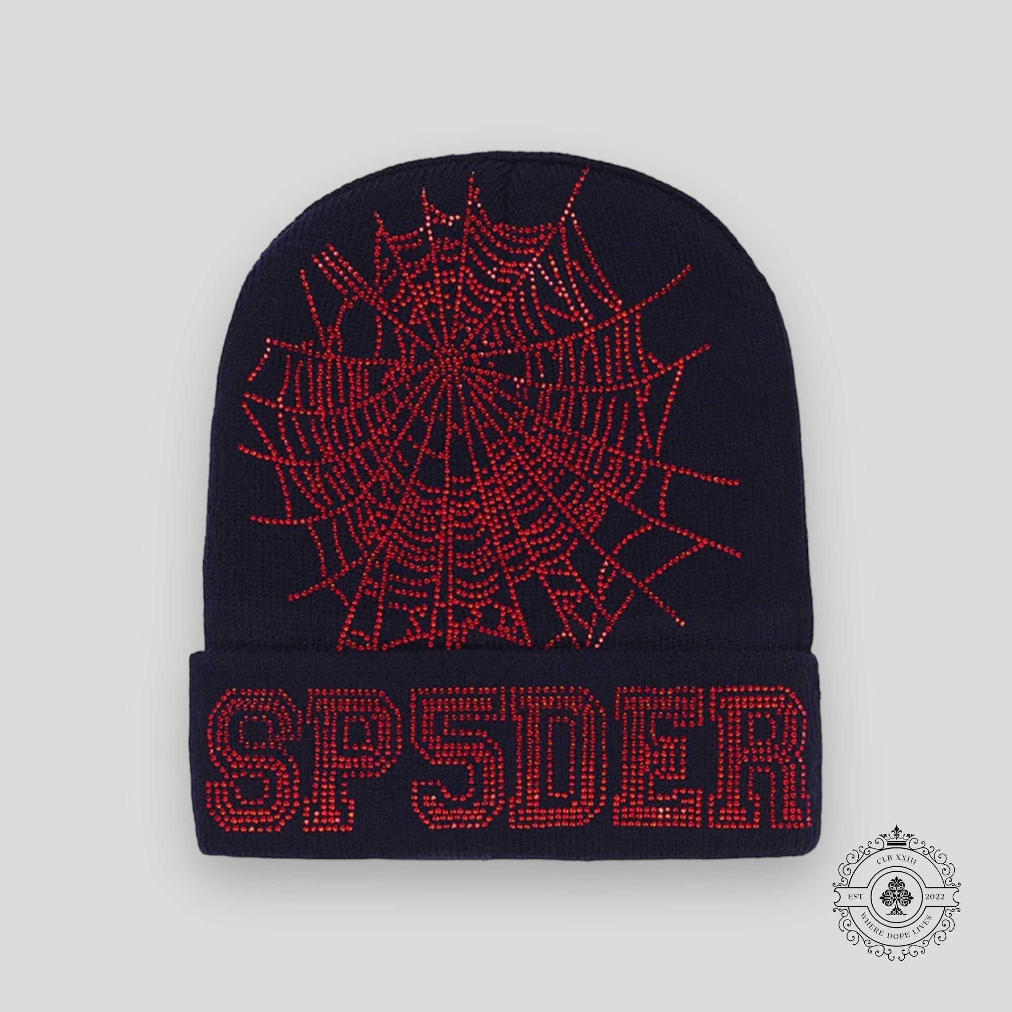 Sp5der Web Beanie in Navy / Red