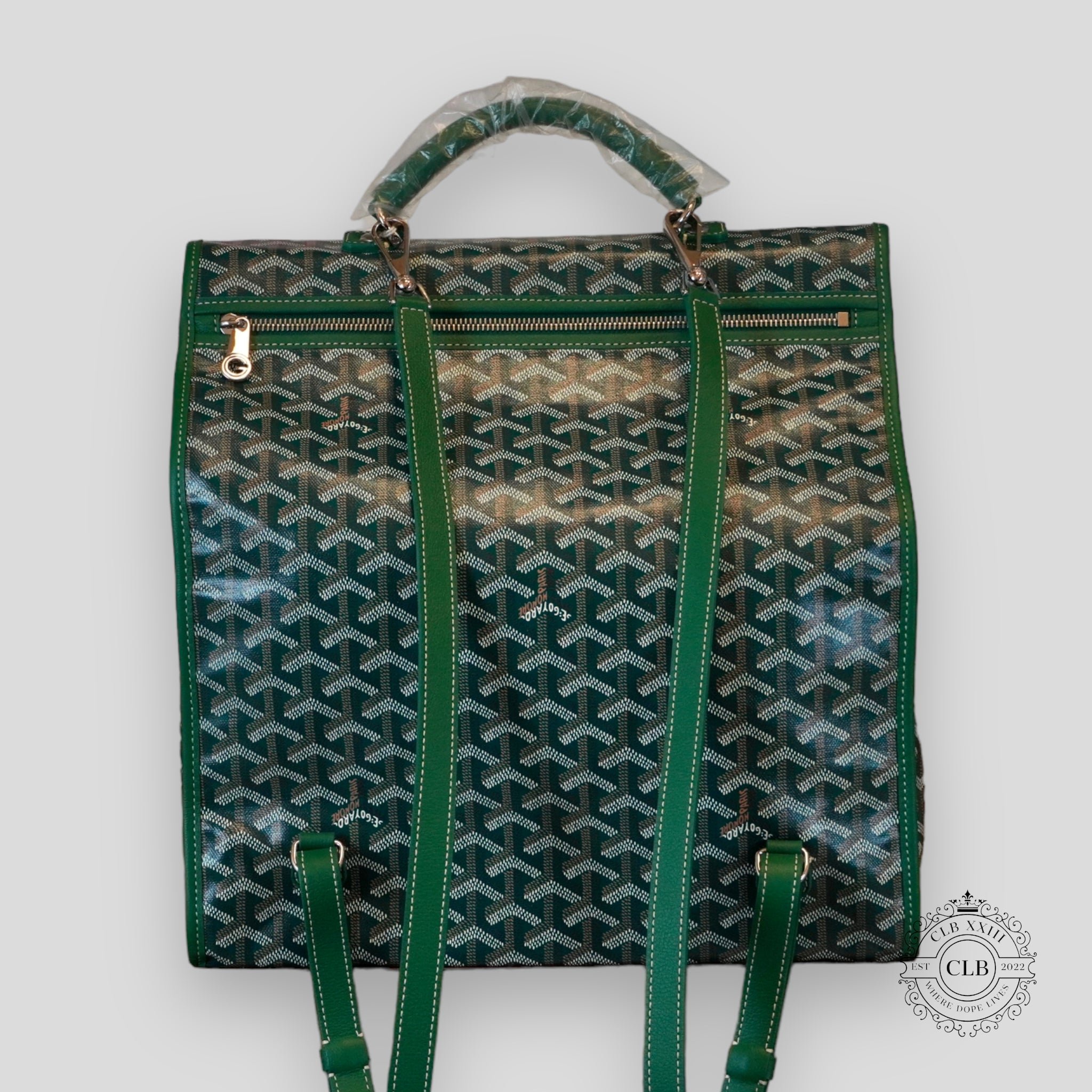 Goyard best sale backpack green