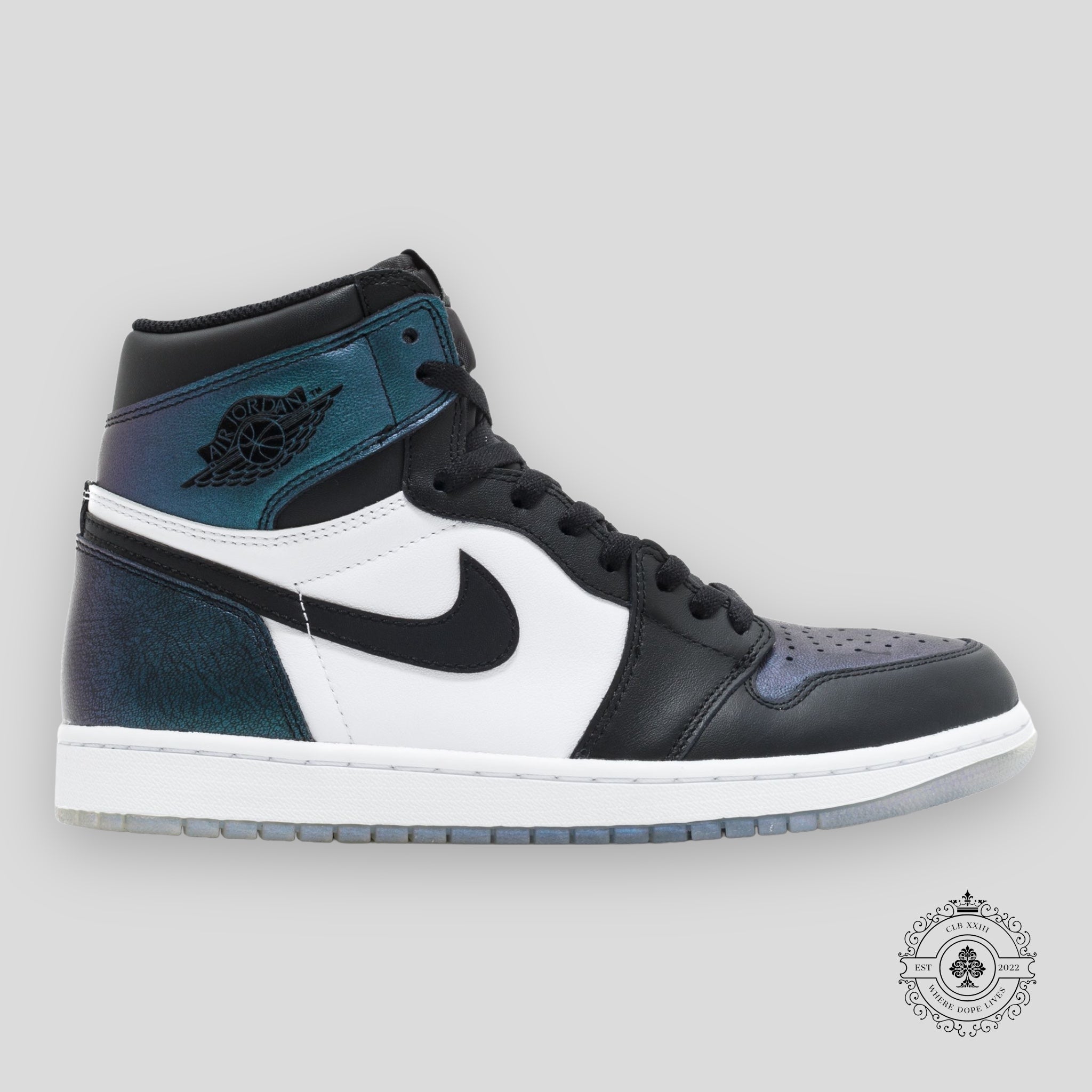 Air Jordan 1 Retro All-Star Chameleon