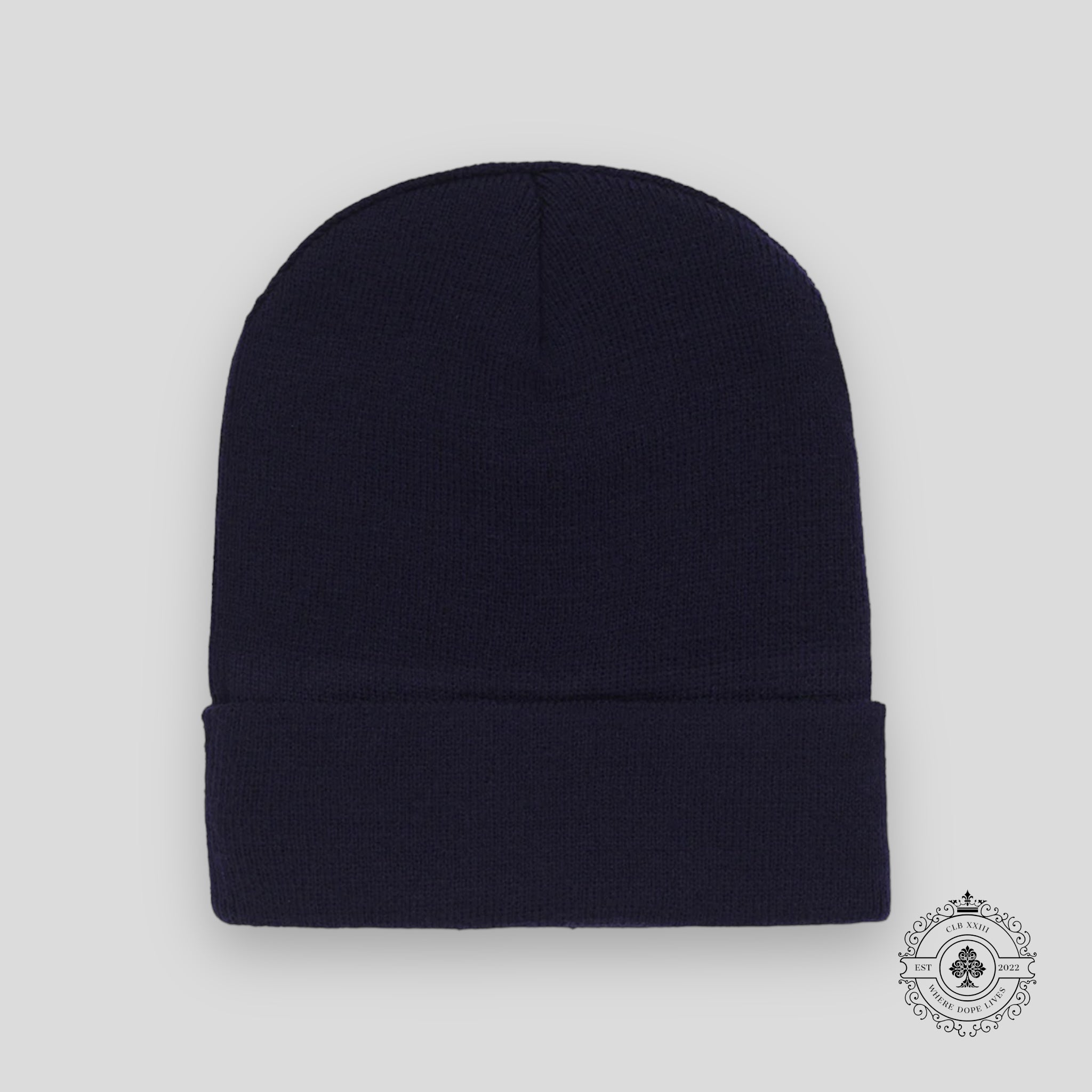 Sp5der Web Beanie in Navy / Red