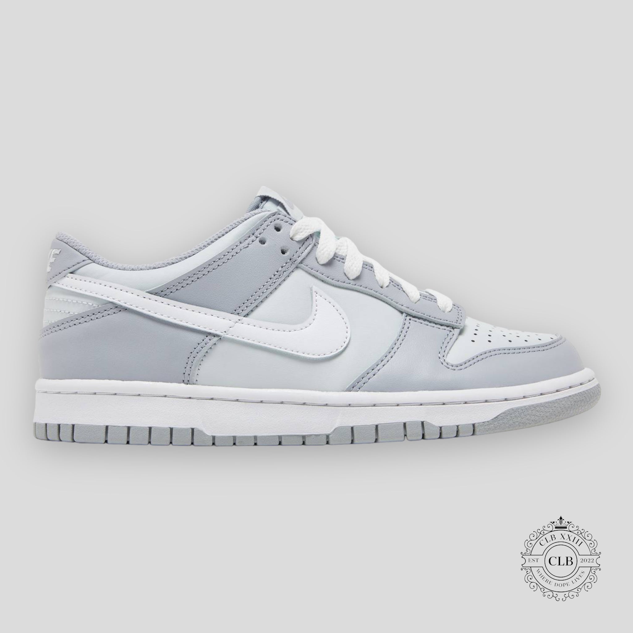 Nike Dunk Low GS Two Toned Grey