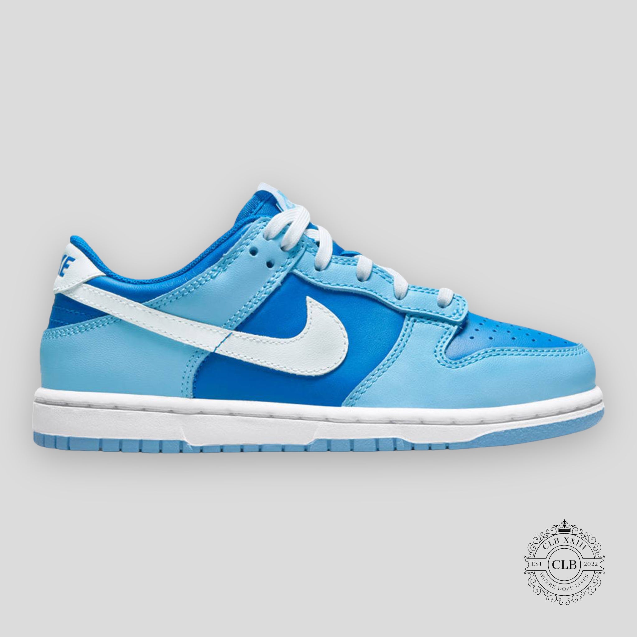 NIKE DUNK LOW (PS) "ARGON"