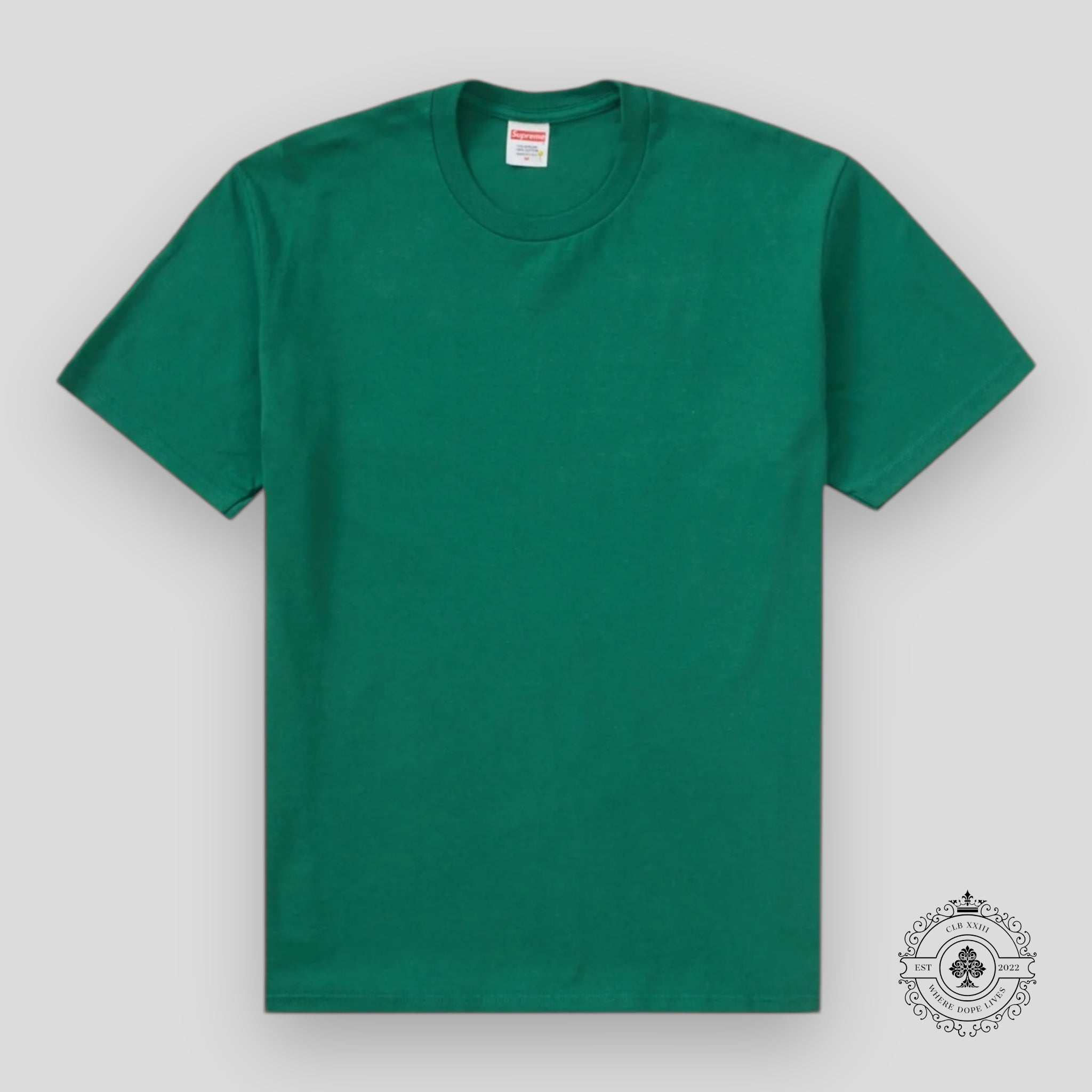 Supreme Paint Tee in Green