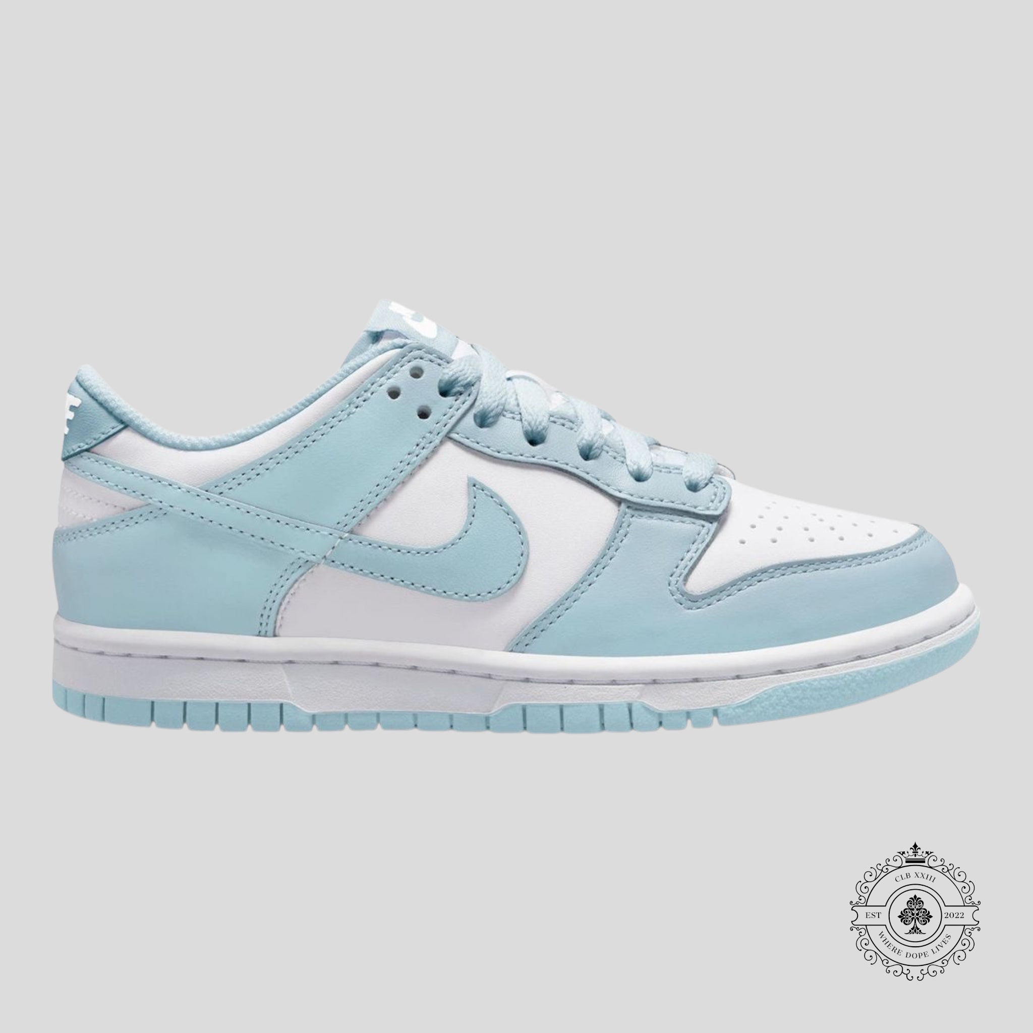 Nike Dunk Low GS White Glacier Blue