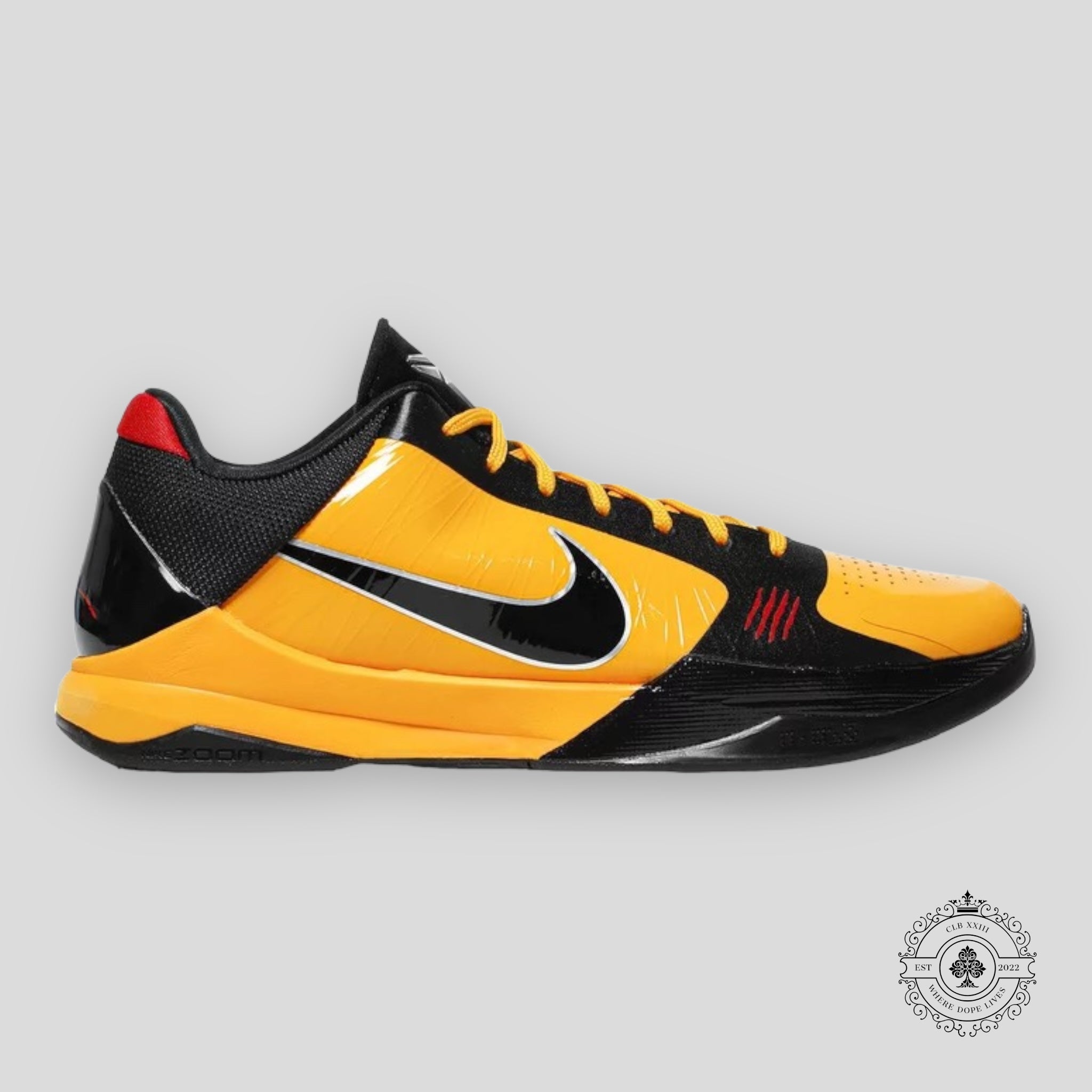 Nike Kobe 5 Protro Bruce Lee