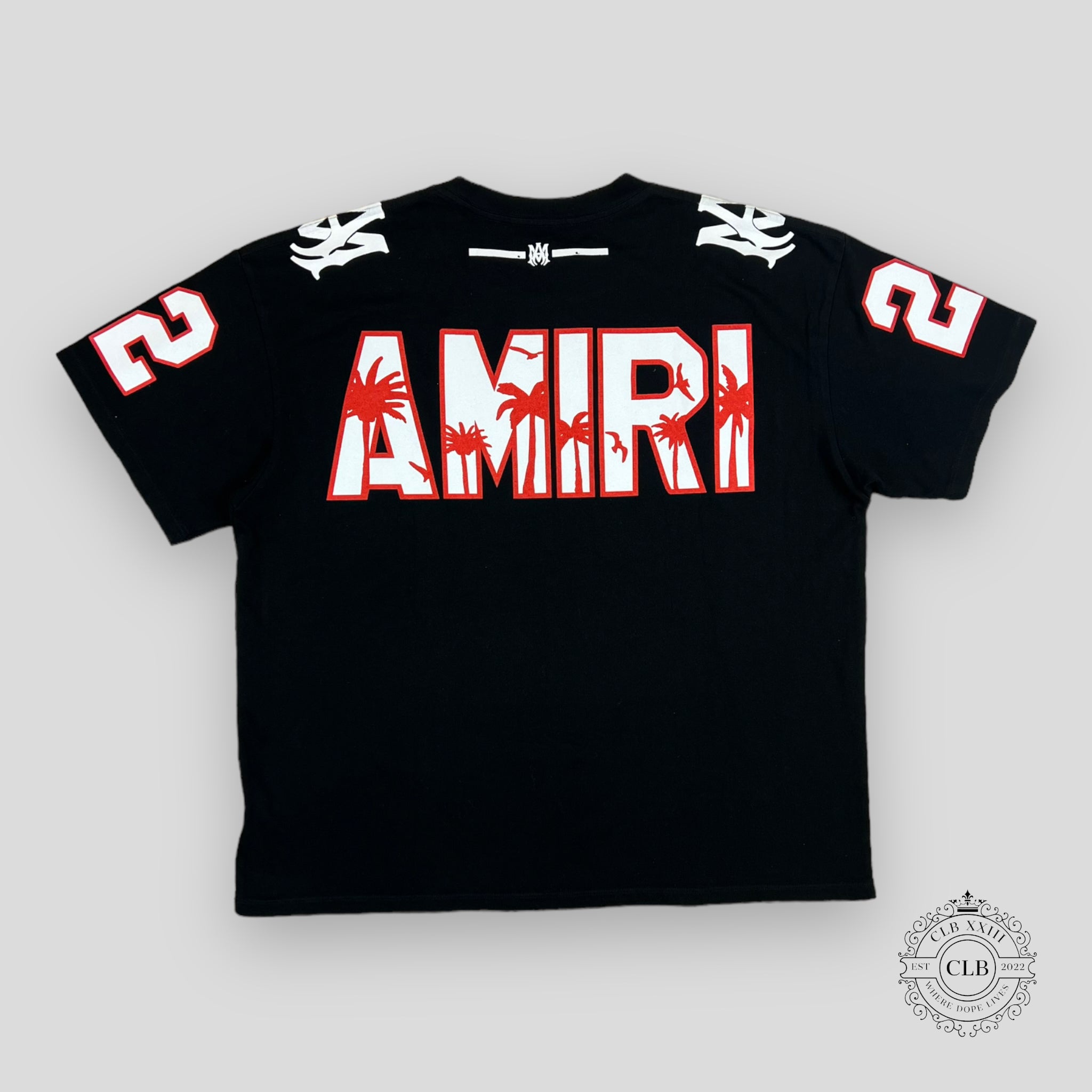 AMIRI OVERSIZED 22 FOOTBALL TEE