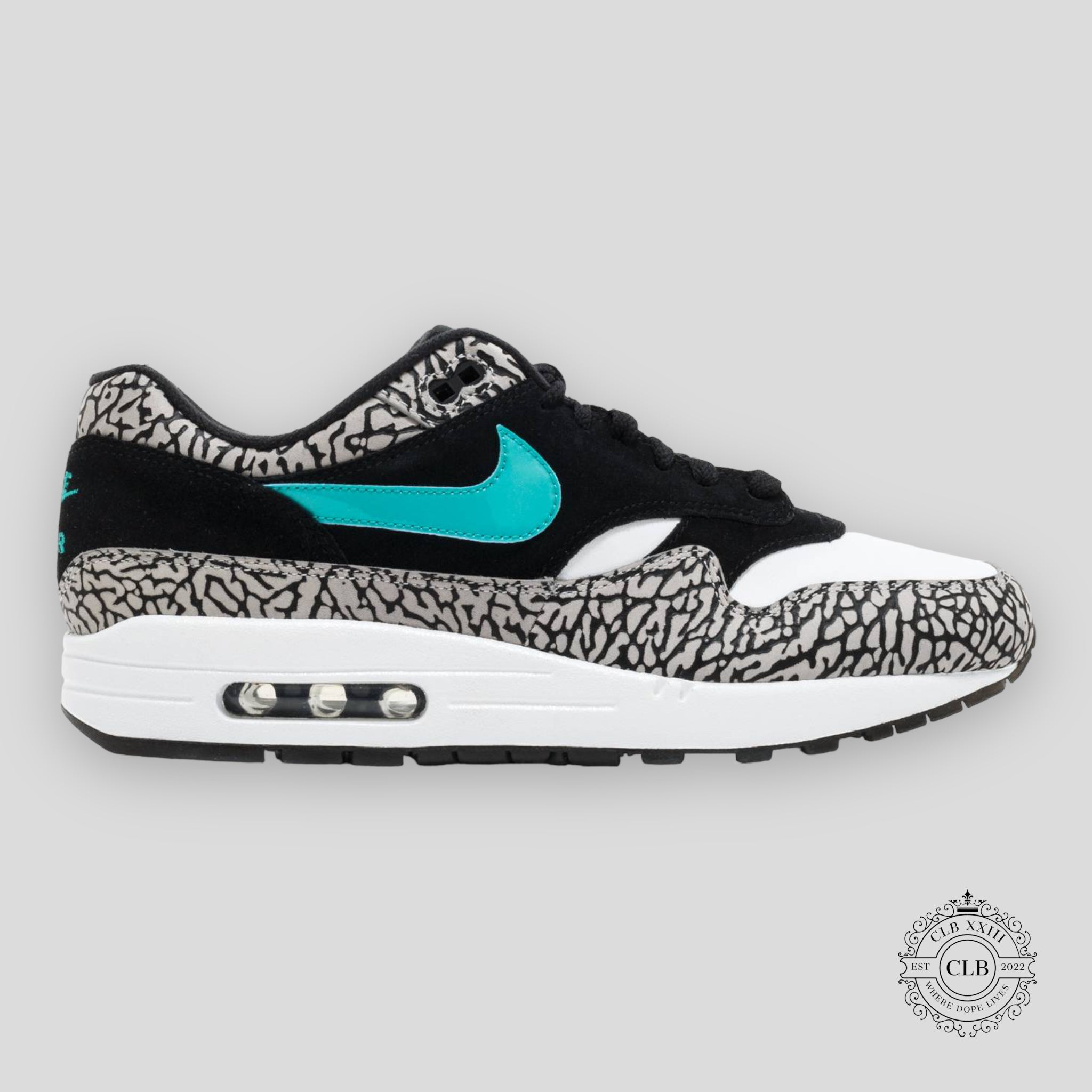 NIKE AIR MAX 1 "ATMOS X AIR JORDAN"