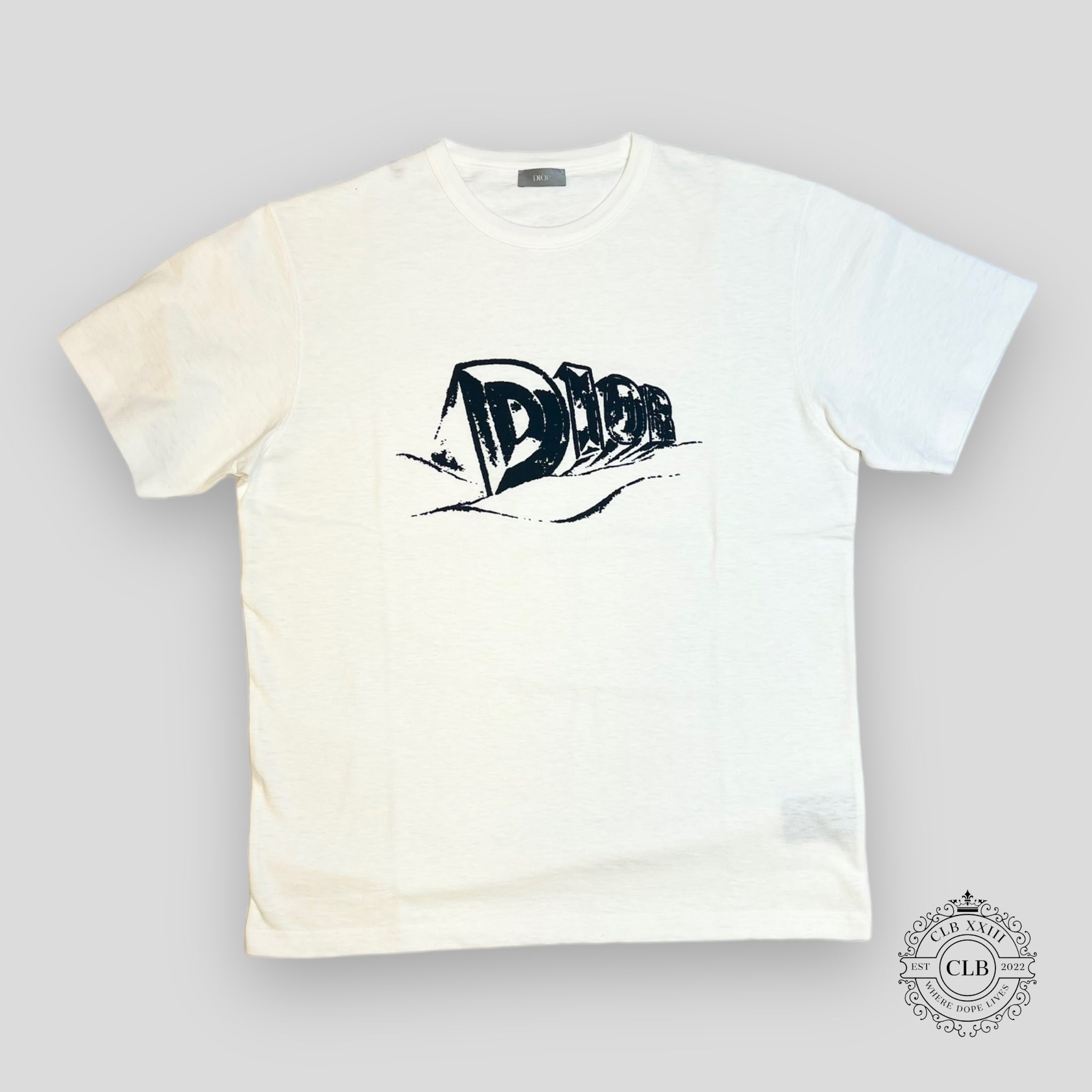 DIOR LOGO T-SHIRT - WHITE