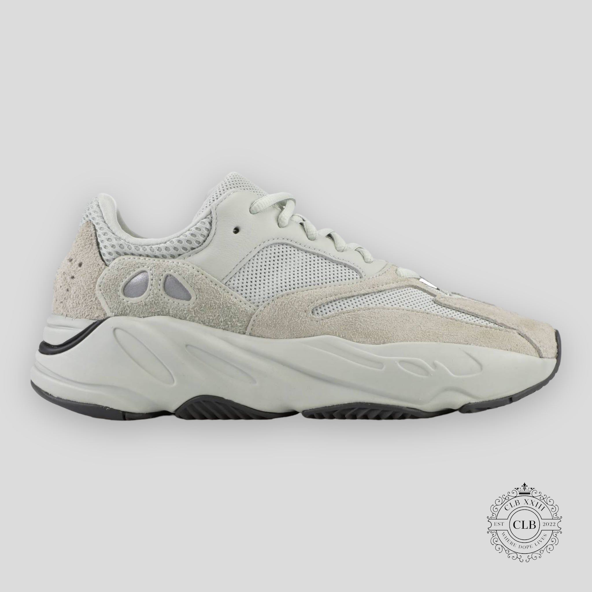 Yeezy Boost 700 Sneaker in Salt