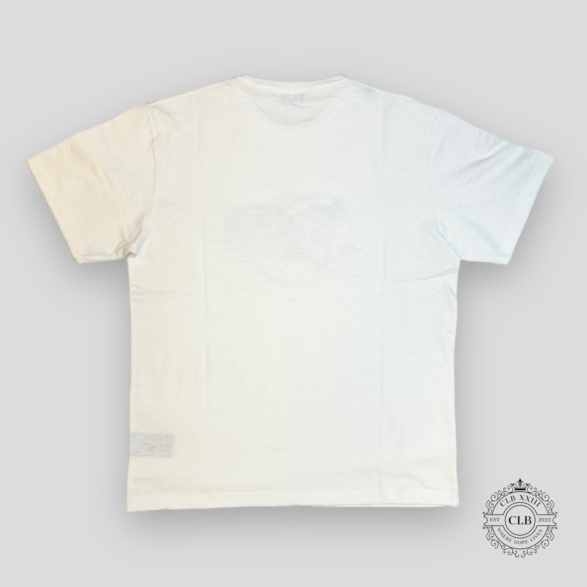 DIOR LOGO T-SHIRT - WHITE