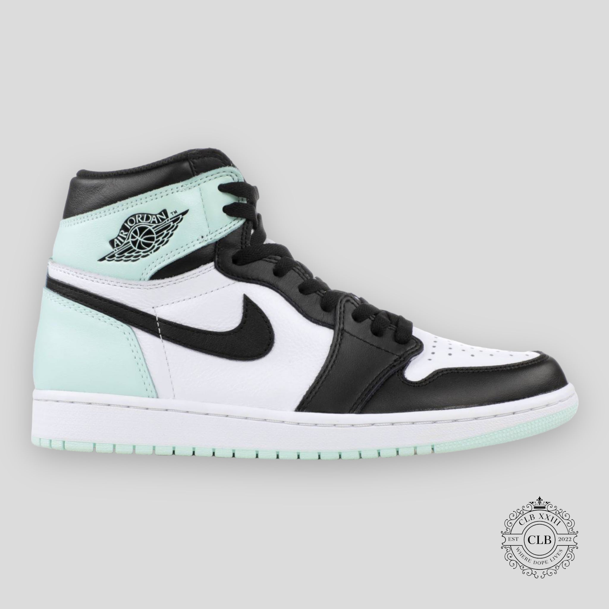 AIR JORDAN 1 RETRO HIGH OG "IGLOO"