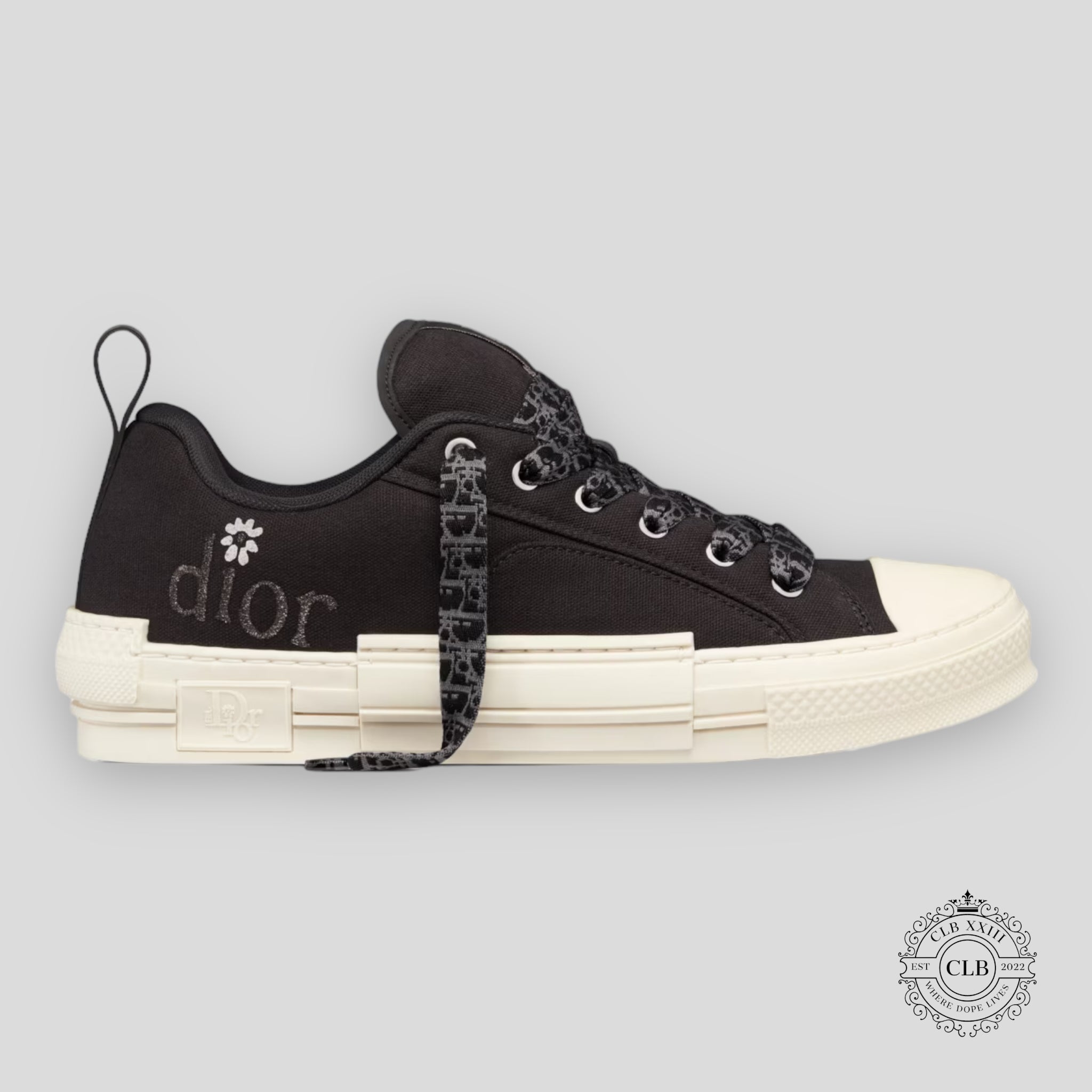 CHRISTIAN DIOR B23 SKATER SNEAKER CANVAS “BLACK”