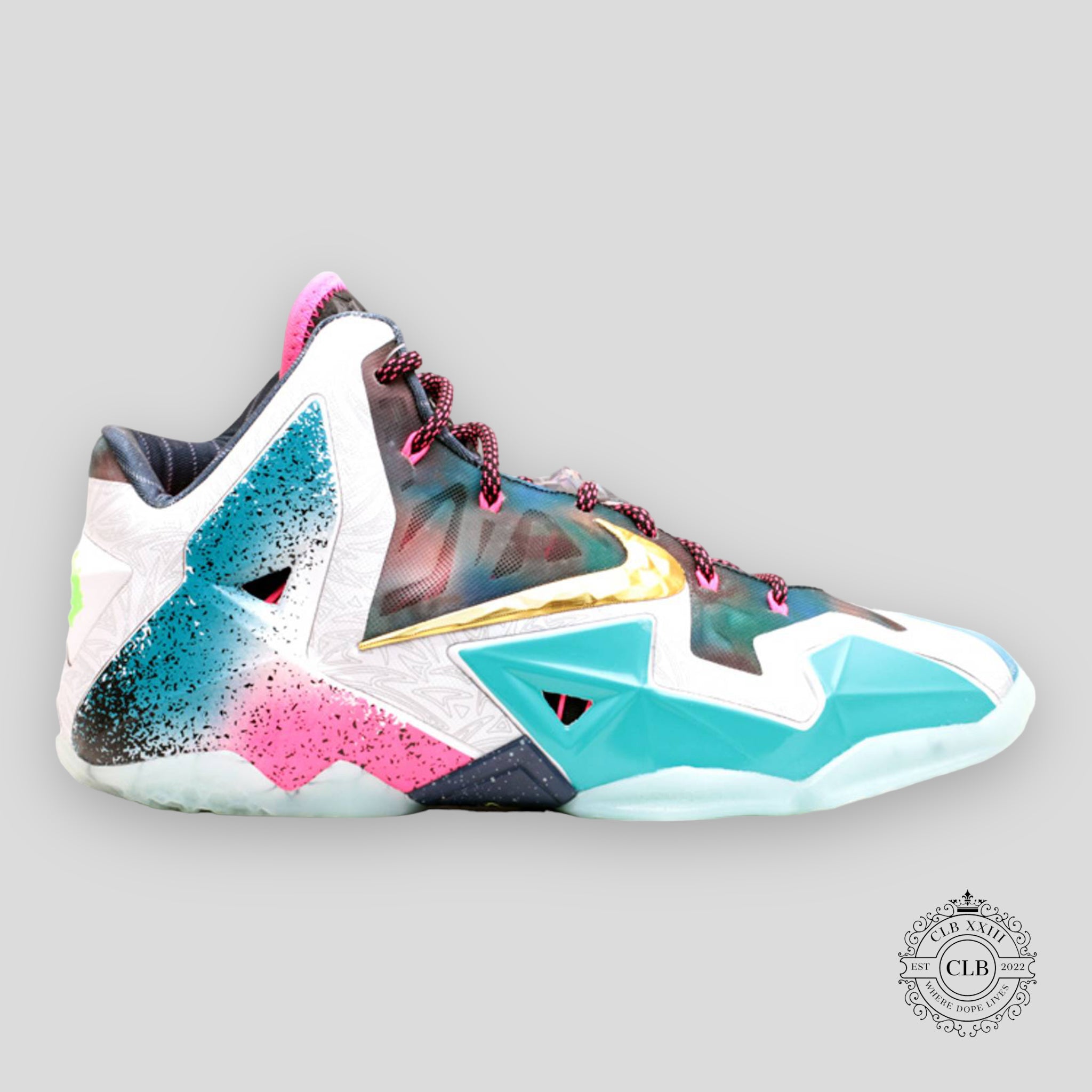 NIKE LEBRON XI "WHAT THE"