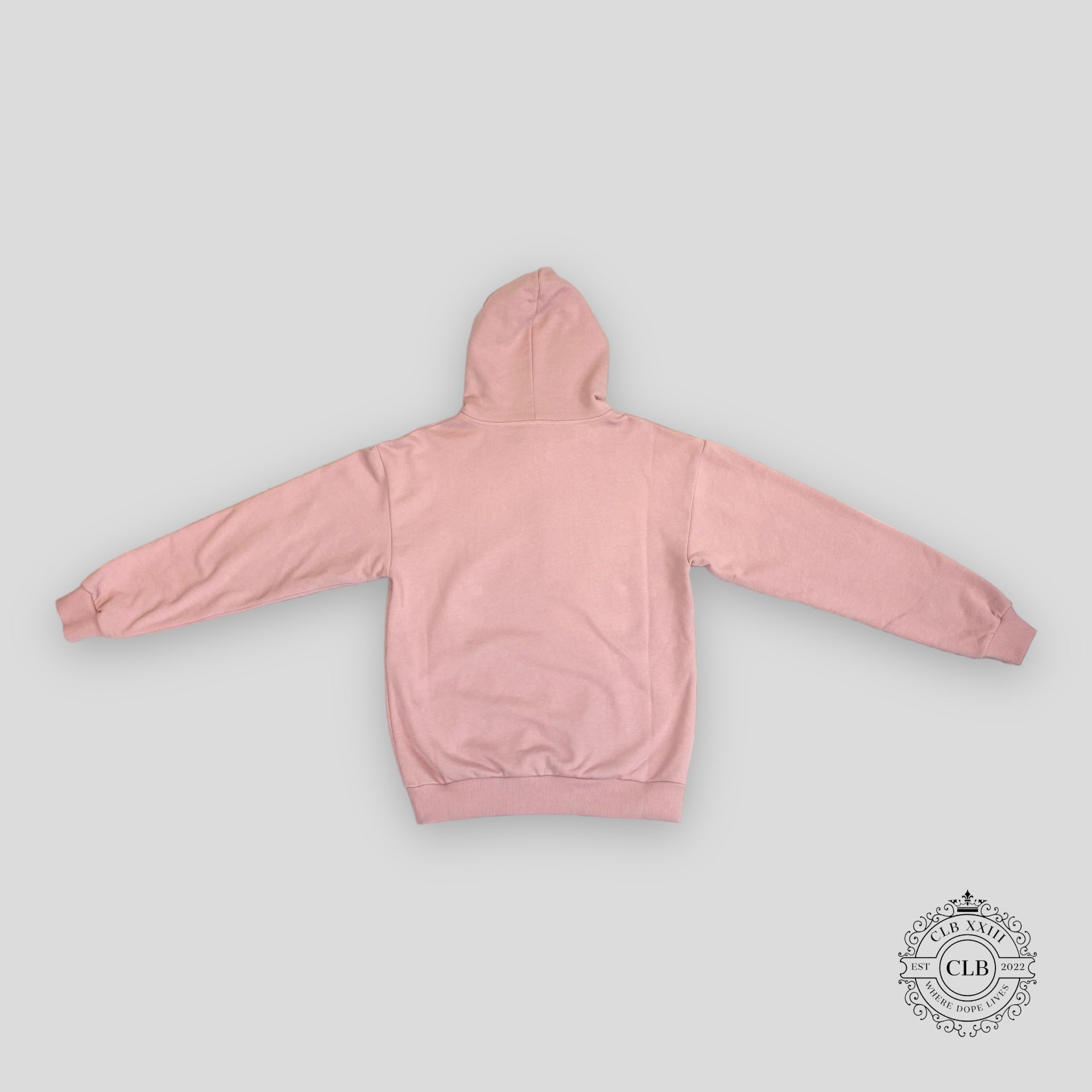 Celine Homme Logo Hoodie in Pink