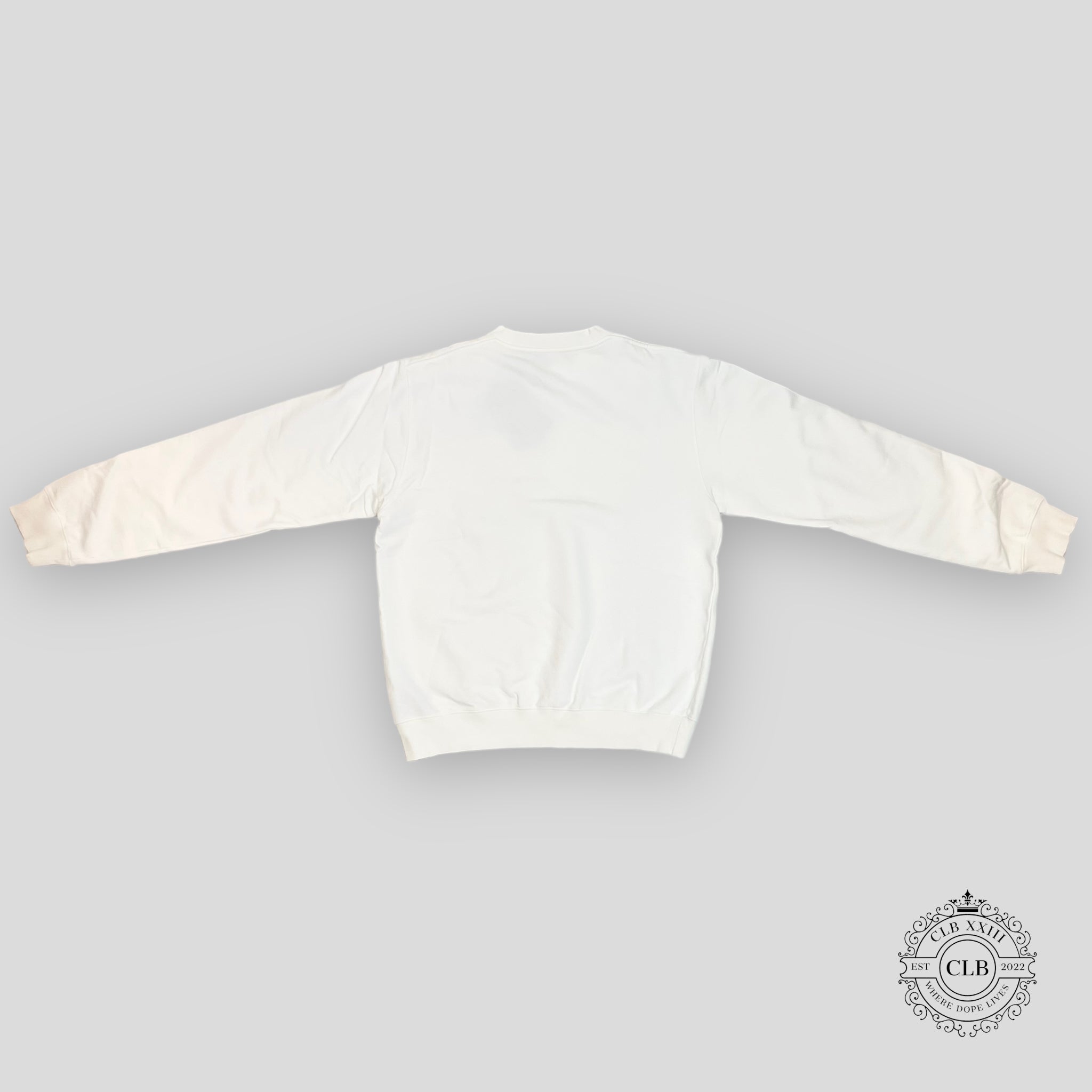 DIOR CACTUS JACK BEAUTIFUL WORLD CREWNECK - WHITE/GREEN