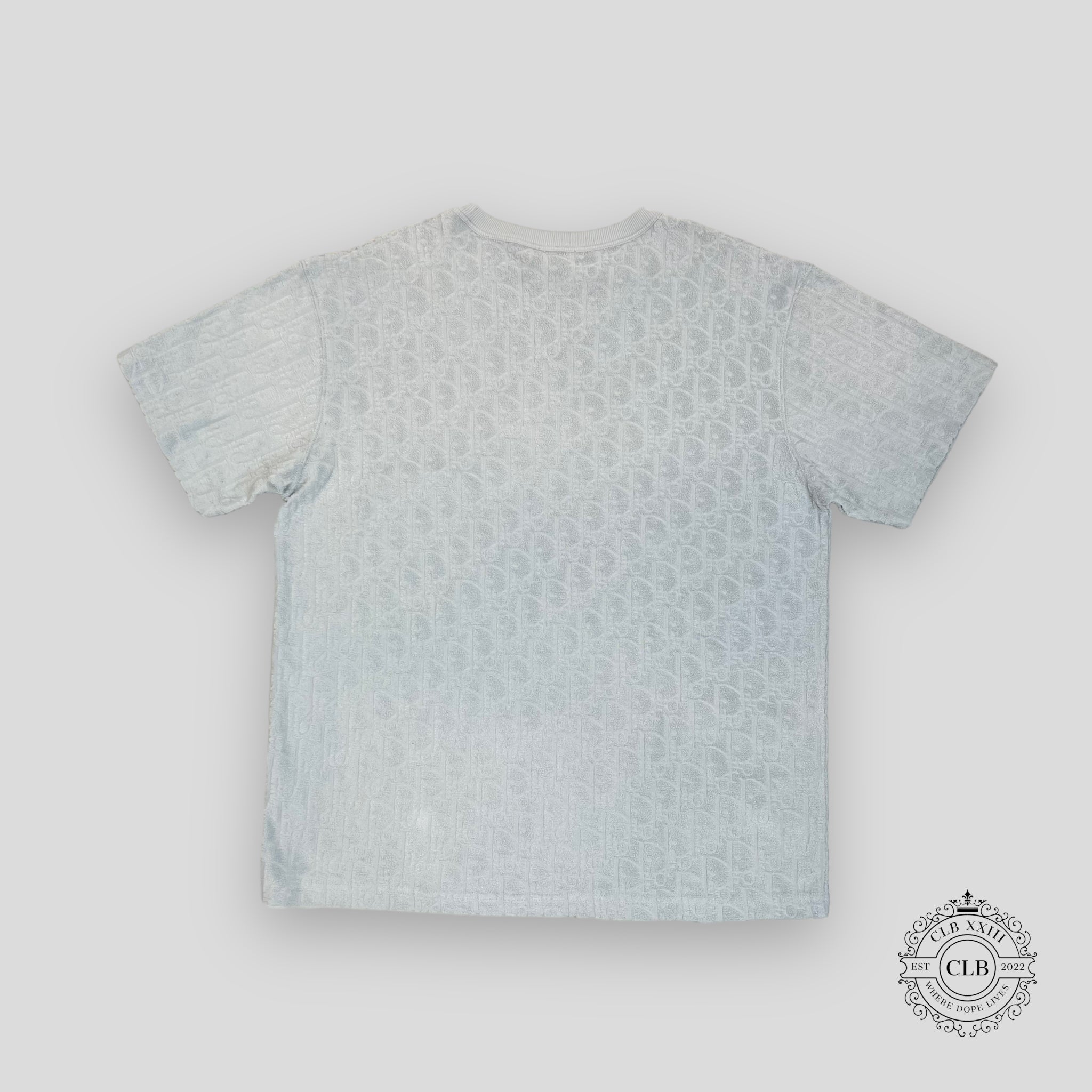 DIOR OBLIQUE T-SHIRT - BLUE